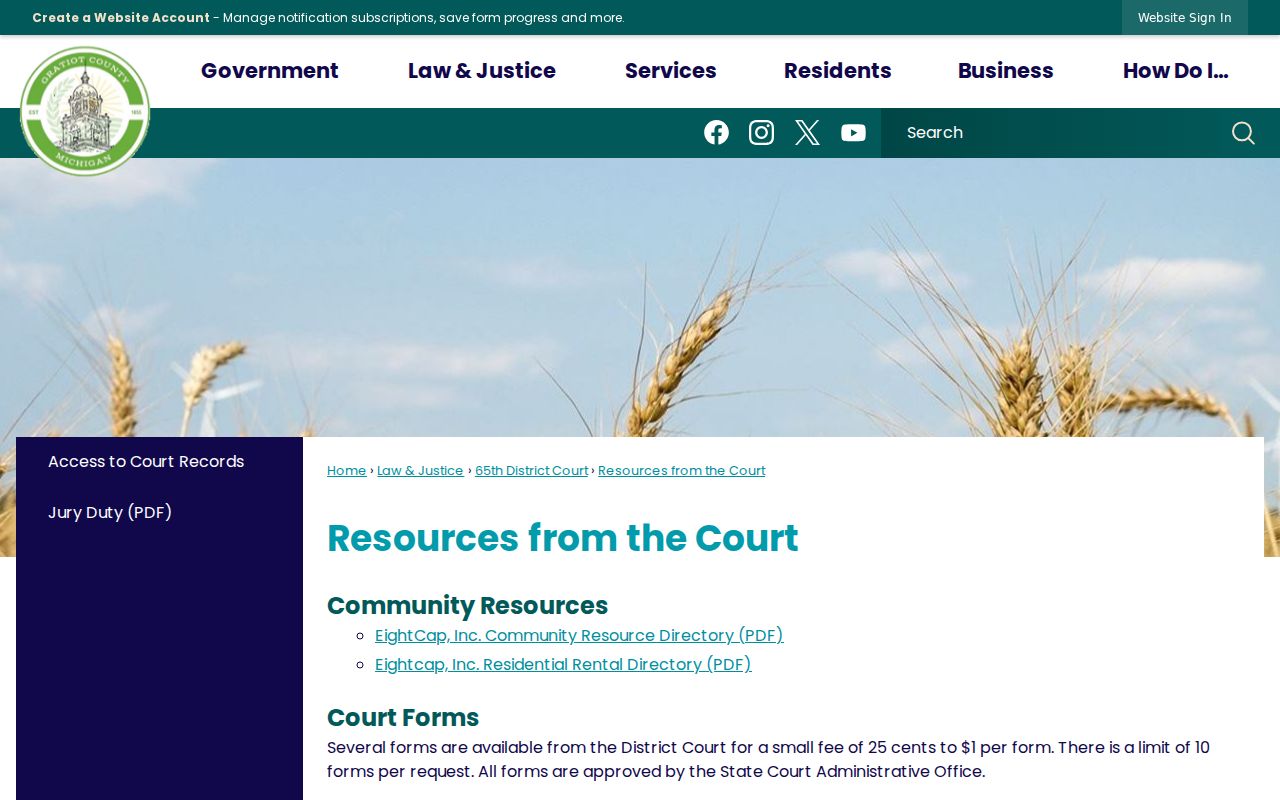 Gratiot County traffic warrant payment and form options on the 65B court resources page